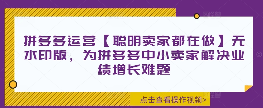 拼多多运营【聪明卖家都在做】无水印版，为拼多多中小卖家解决业绩增长难题-数智网创