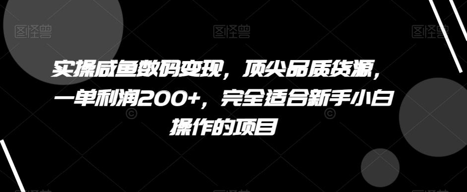 实操咸鱼数码变现，顶尖品质货源，一单利润200+，完全适合新手小白操作的项目【揭秘】-数智网创