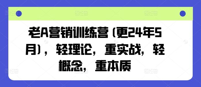 老A营销训练营(更24年6月)，轻理论，重实战，轻概念，重本质-数智网创