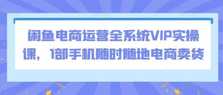 闲鱼电商运营全系统VIP实操课，1部手机随时随地电商卖货-数智网创