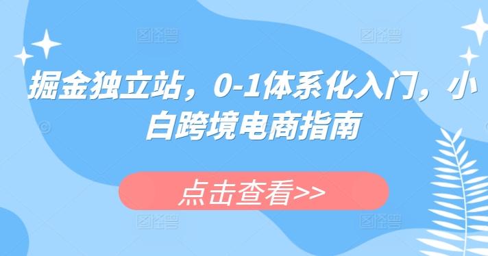 掘金独立站，0-1体系化入门，小白跨境电商指南-数智网创