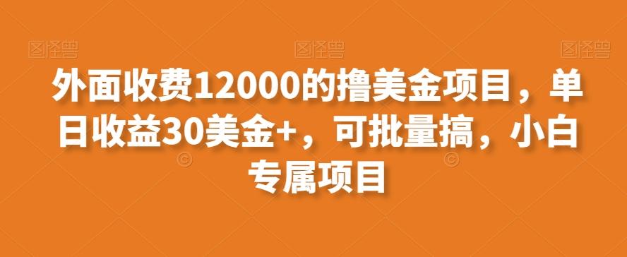 外面收费12000的撸美金项目，单日收益30美金+，可批量搞，小白专属项目-数智网创