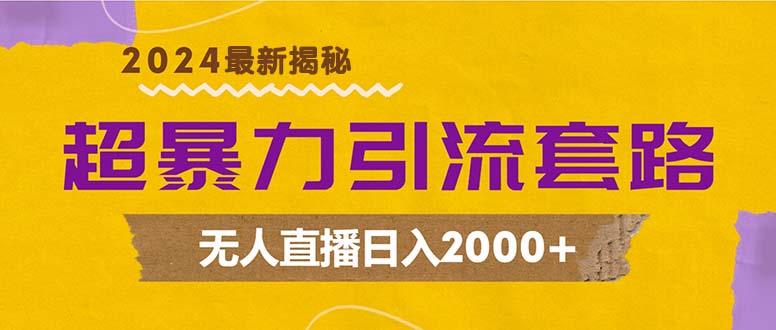 超暴力引流套路，无人直播日入2000+-数智网创