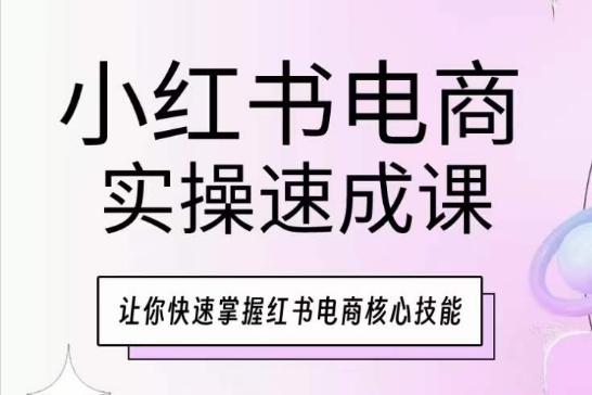 小红书电商实操速成课，让你快速掌握红书电商核心技能-数智网创