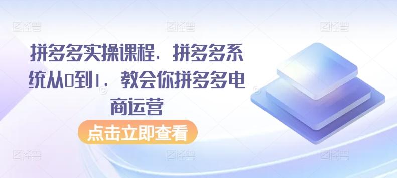 拼多多实操课程，拼多多系统从0到1，教会你拼多多电商运营-数智网创
