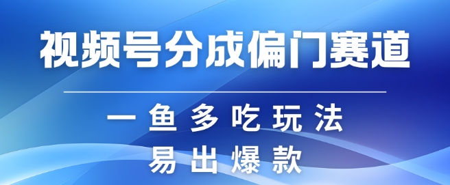 视频号创作者分成计划偏门类目，容易爆流，实拍内容简单易做【揭秘】-数智网创
