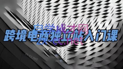 团长·跨境电商独立站入门课(2小时精华)-数智网创