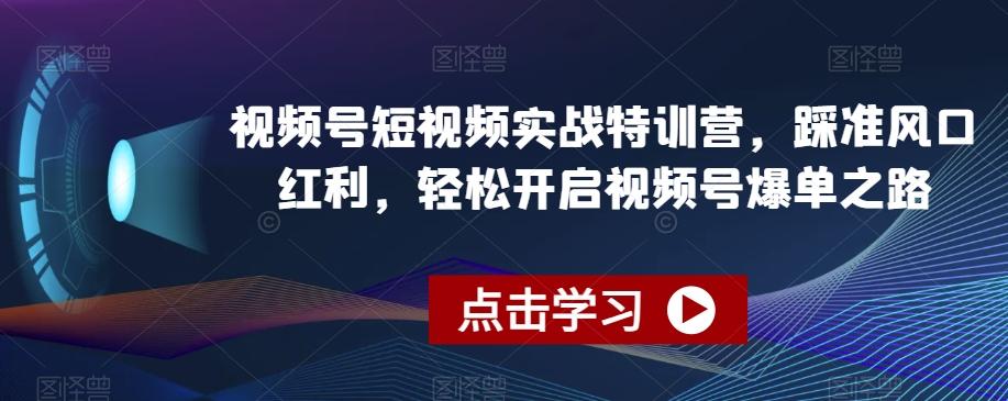 视频号短视频实战特训营，踩准风口红利，轻松开启视频号爆单之路-数智网创