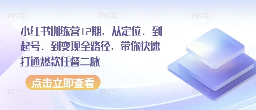小红书训练营12期，从定位、到起号、到变现全路径，带你快速打通爆款任督二脉-数智网创