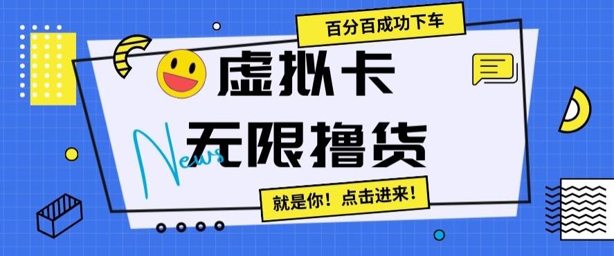 虚拟卡无限撸货，百分百成功下车【仅揭秘】-数智网创