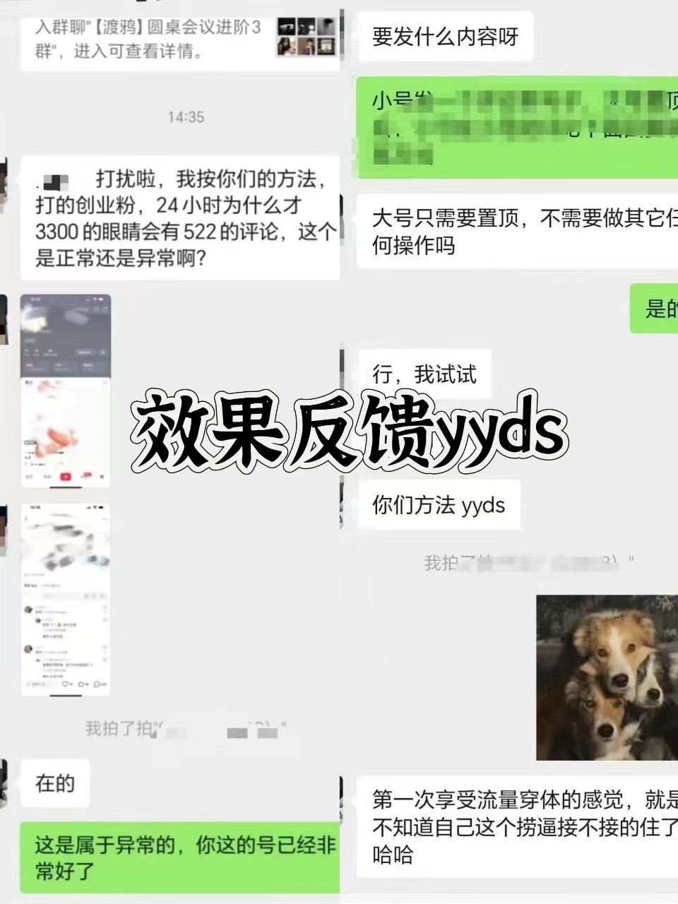图片[3]-抖音小红书视频号全平台引流打法，全自动引流日引2000+精准客户-数智网创