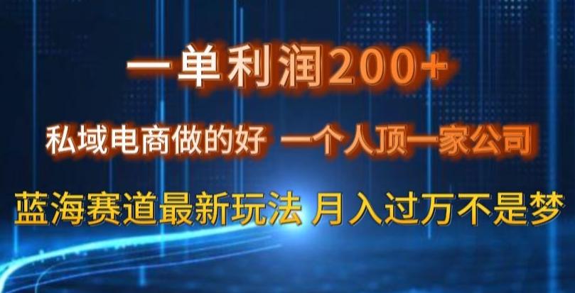 一单利润200私域电商做的好，一个人顶一家公司蓝海赛道最新玩法【揭秘】-数智网创