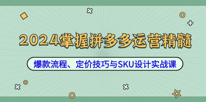 2024掌握拼多多运营精髓：爆款流程、定价技巧与SKU设计实战课-数智网创