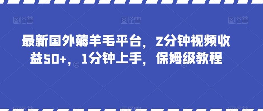 最新国外薅羊毛平台，2分钟视频收益50+，1分钟上手，保姆级教程【揭秘】-数智网创
