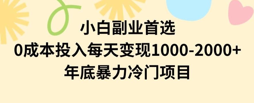 小白副业首选，0成本投入，每天变现1000-2000年底暴力冷门项目【揭秘】-数智网创