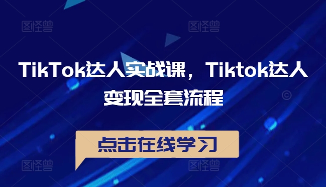 TikTok达人实战课，Tiktok达人变现全套流程-数智网创
