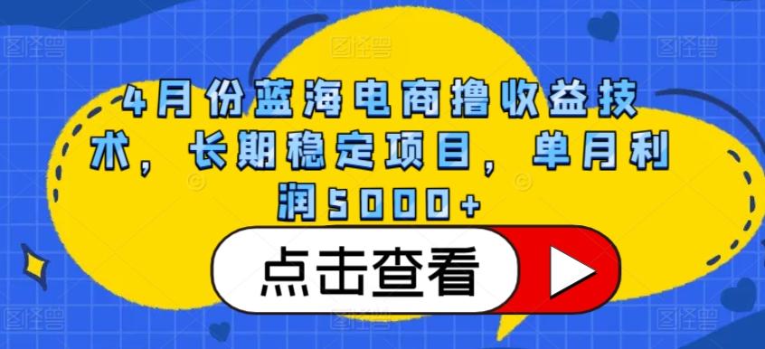 4月份蓝海电商撸收益技术，长期稳定项目，单月利润5000+【揭秘】-数智网创