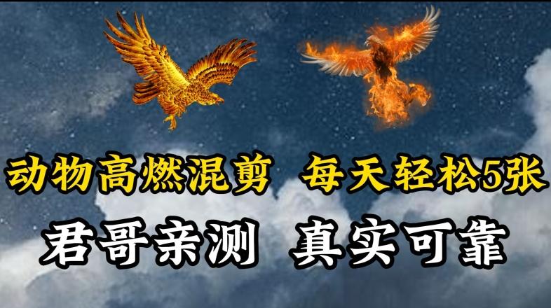 动物超燃混剪，每天轻松5张，剪辑简单大家爱看【揭秘】-数智网创