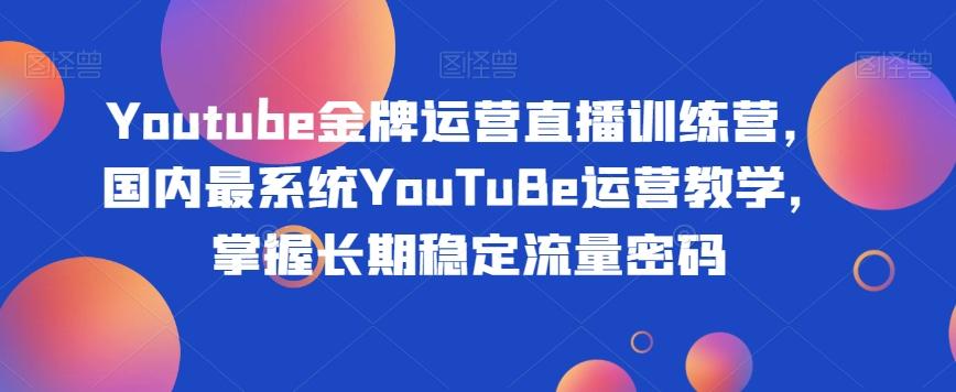 Youtube金牌运营直播训练营，国内最系统YouTuBe运营教学，掌握长期稳定流量密码-数智网创