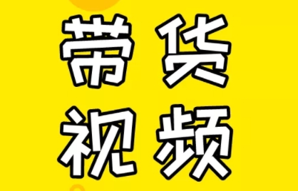 芒果老师·教你做抖音短视频和直播带货-数智网创