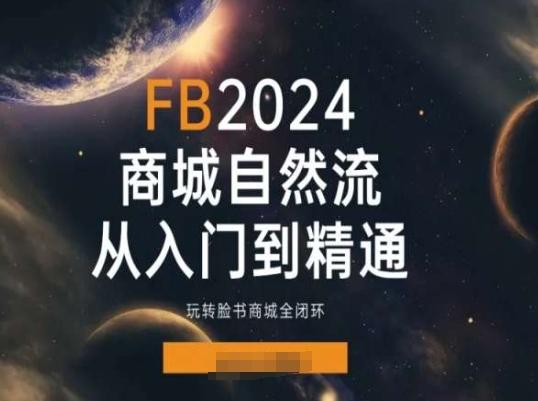 2024Faceboo商城自然流(从入门到精通)，玩转脸书商城全闭环-数智网创