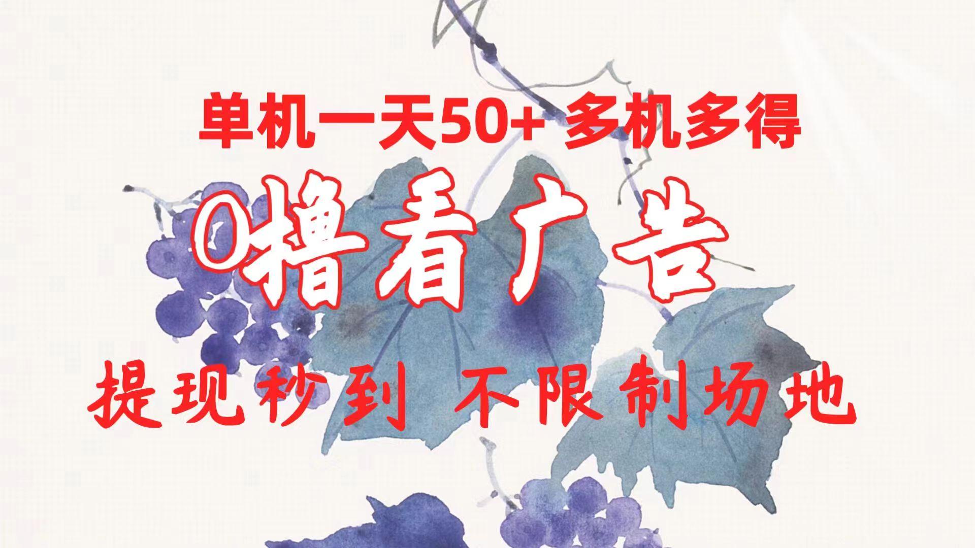 0撸看广告 单机一天50+多机多得 提现秒到 不限制场地操作-数智网创