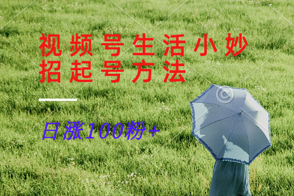视频号生活小妙招分享赛道， 起号涨粉新方法，日涨100粉-数智网创