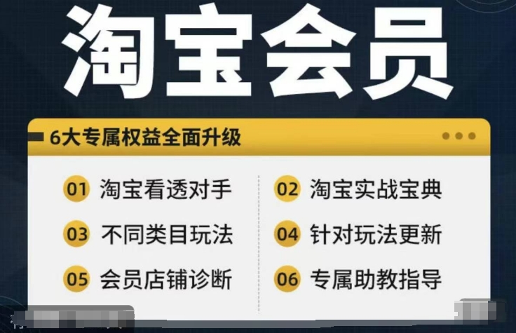 淘宝会员【淘宝所有课程，全面分析对手】，初级到高手全系实战宝典-数智网创