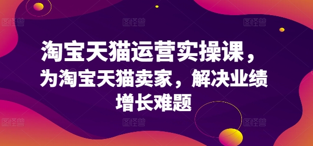 淘宝天猫运营实操课，为淘宝天猫卖家，解决业绩增长难题-数智网创