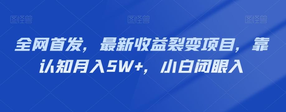 全网首发，最新收益裂变项目，靠认知月入5W+，小白闭眼入-数智网创