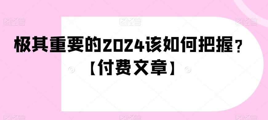极其重要的2024该如何把握？【付费文章】-数智网创