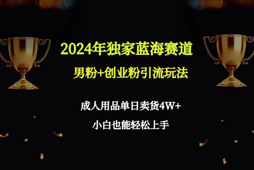 2024年独家蓝海赛道男粉+创业粉引流玩法，成人用品单日卖货4W+保姆教程-数智网创