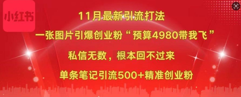 小红书11月最新图片打粉，一张图片引爆创业粉，“预算4980带我飞”，单条引流500+精准创业粉-数智网创