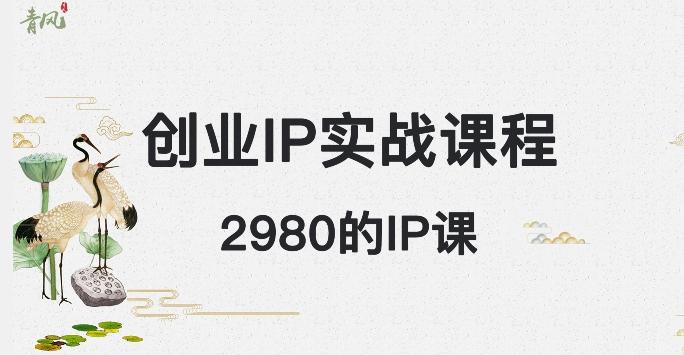 外边卖2980的创业IP课程，做私域月入5w+-数智网创