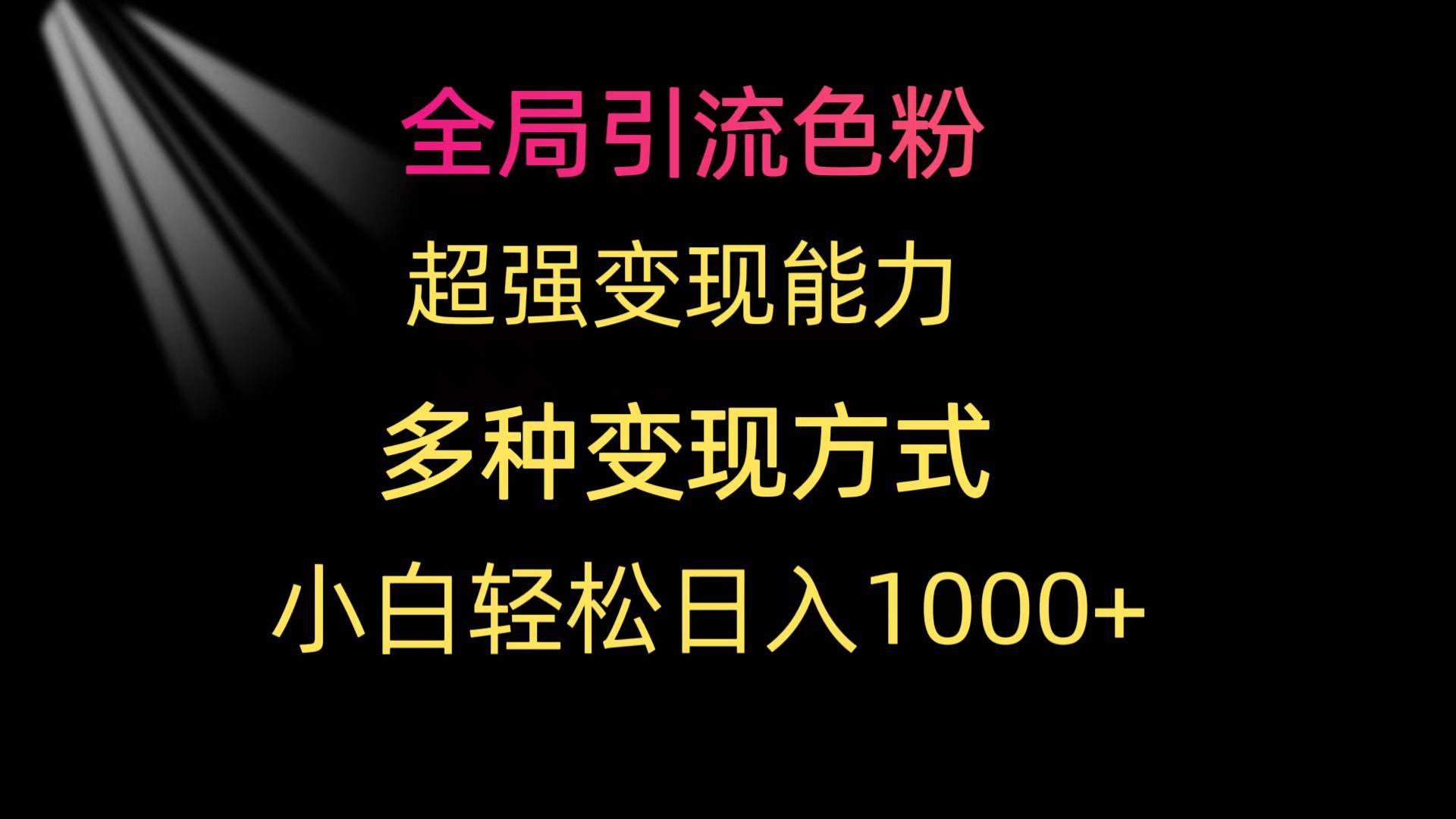 (9680期)全局引流色粉 超强变现能力 多种变现方式 小白轻松日入1000+-数智网创