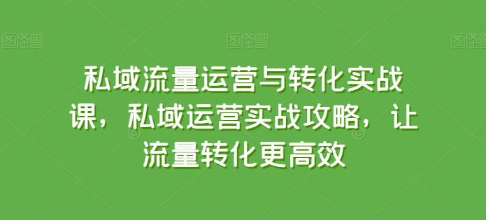 私域流量运营与转化实战课，私域运营实战攻略，让流量转化更高效-数智网创