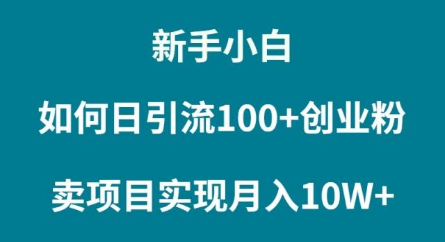 (9556期)新手小白如何通过卖项目实现月入10W+-数智网创