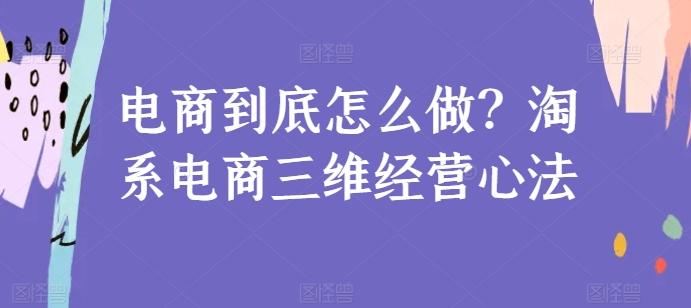 电商到底怎么做？淘系电商三维经营心法-数智网创