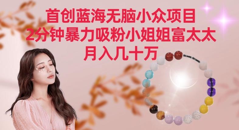 首创蓝海无脑小众项目，2分钟暴力吸粉小姐姐富太太，月入几十万【揭秘】-数智网创
