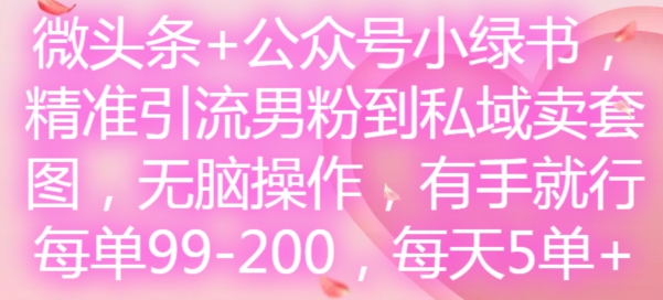 微头条+公众号小绿书，精准引流男粉到私域卖套图，无脑操作，有手就行，每单99-200，每天5单-数智网创