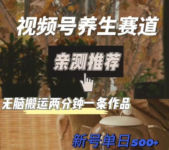 视频号养生赛道暴力掘金，无脑搬运，两分钟一条作品-新日单入500+-数智网创
