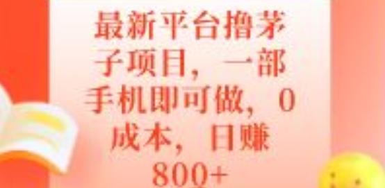 最新平台撸茅子项目，一部手机即可做，0成本，日赚800+-数智网创