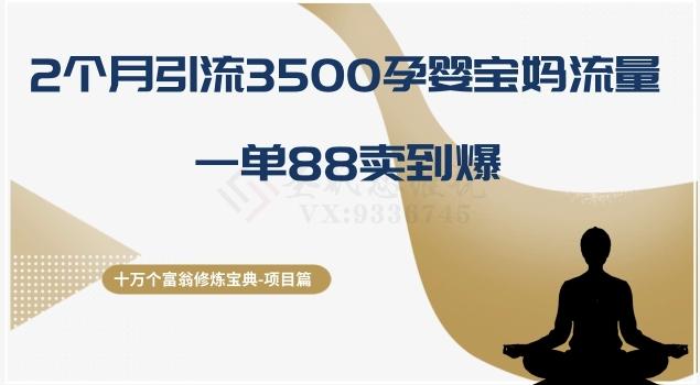 十万个富翁修炼宝典之13.2个月引流3500孕婴宝妈流量，一单88卖到爆-数智网创