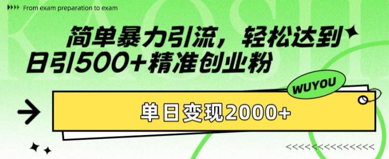 简单暴力引流,轻松达到日引500+精准创业粉,单日变现2k【揭秘】-数智网创