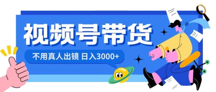 视频号带货，日入3000+，不用真人出镜-数智网创