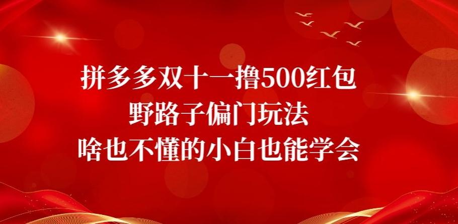 拼多多双十一撸500红包野路子偏门玩法,啥也不懂的小白也能学会【揭秘】-数智网创