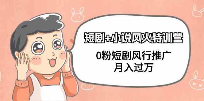 小说+短剧风火特训营，0粉短剧小说风行推广，实现月入过万-数智网创